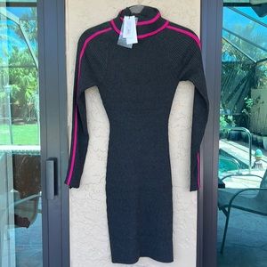 Racer stripe turtleneck dress, charcoal/ fusia, petite BNWT
